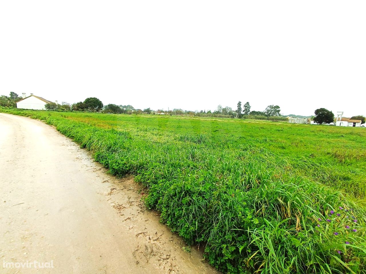 Terreno na Fonte da Vaca - Pinhal Novo