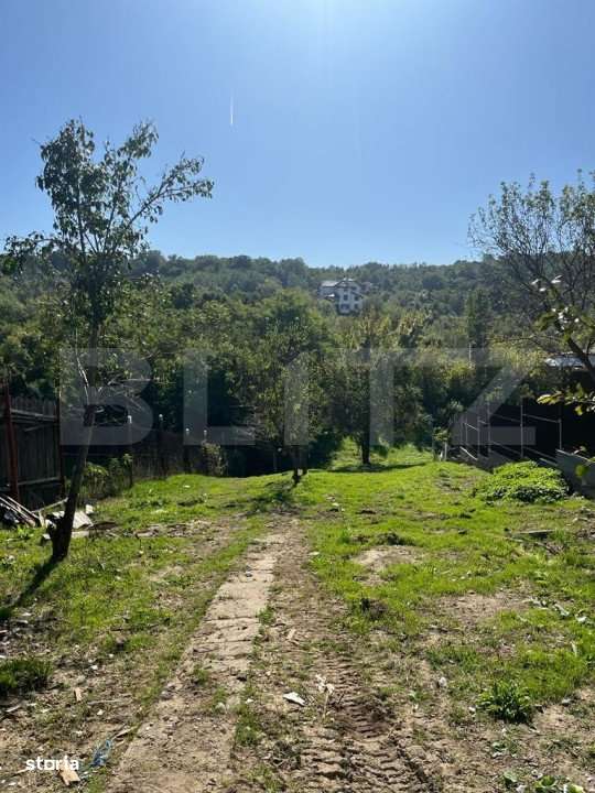 Casa 50mp, pe un teren de 1000mp, in Leamna de Jos - Imagine principală: 4/9