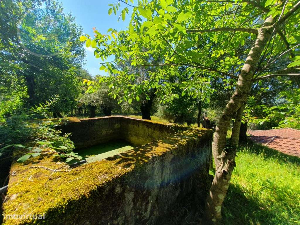 Quinta à venda para restauro em Arroteia freguesia de Rossas-39
