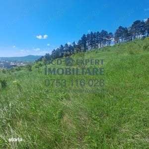 Teren Intravilan zona fermelor - Imagine principală: 1/3