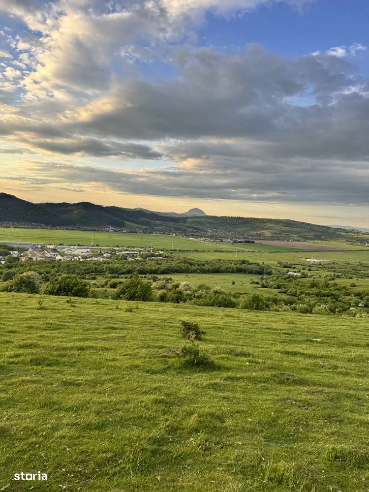 Vand teren pe Muscel - Imagine principală: 4/6