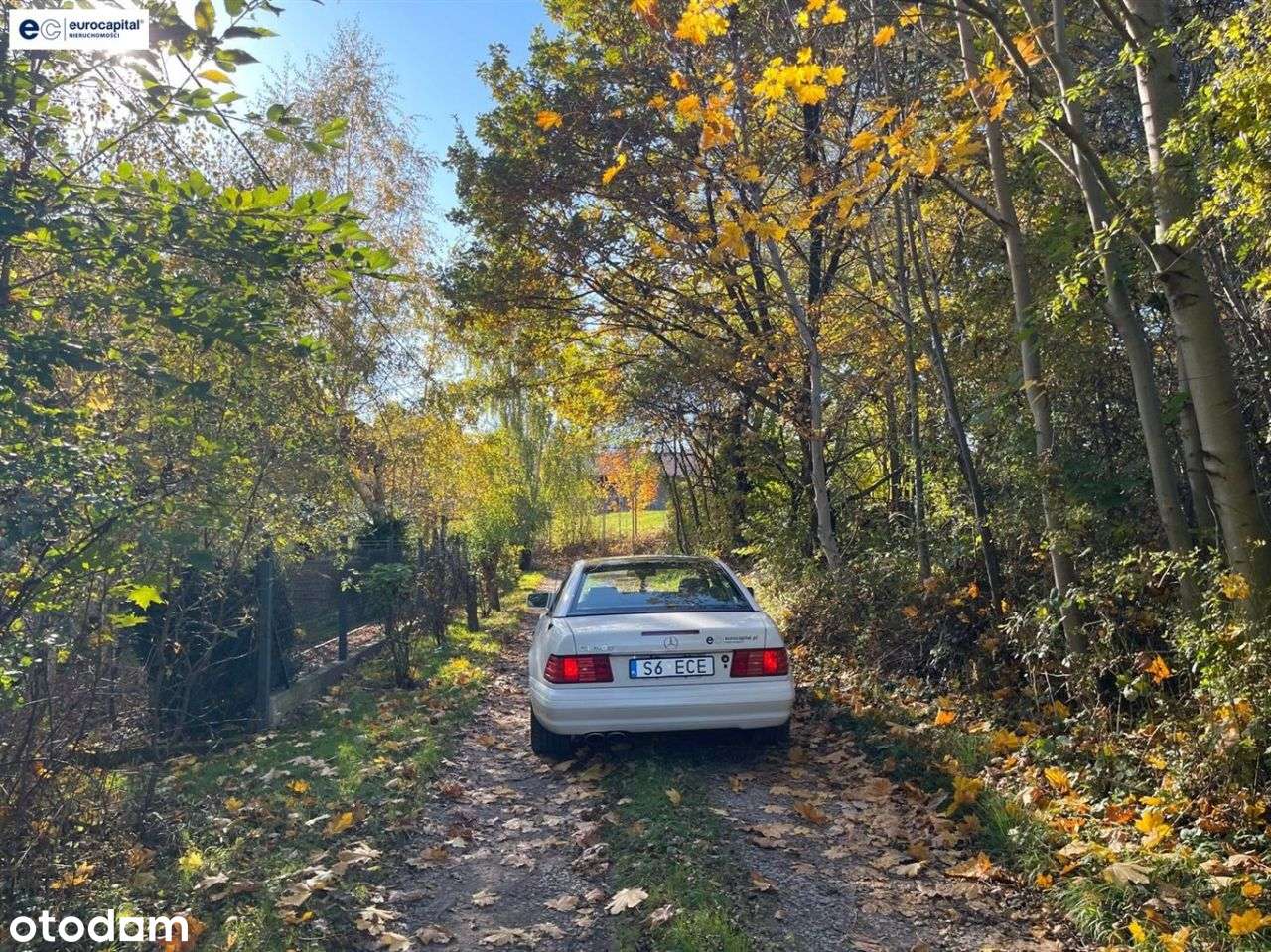 Duża działka w sasiedztwie zagajnika i strumyka!-12