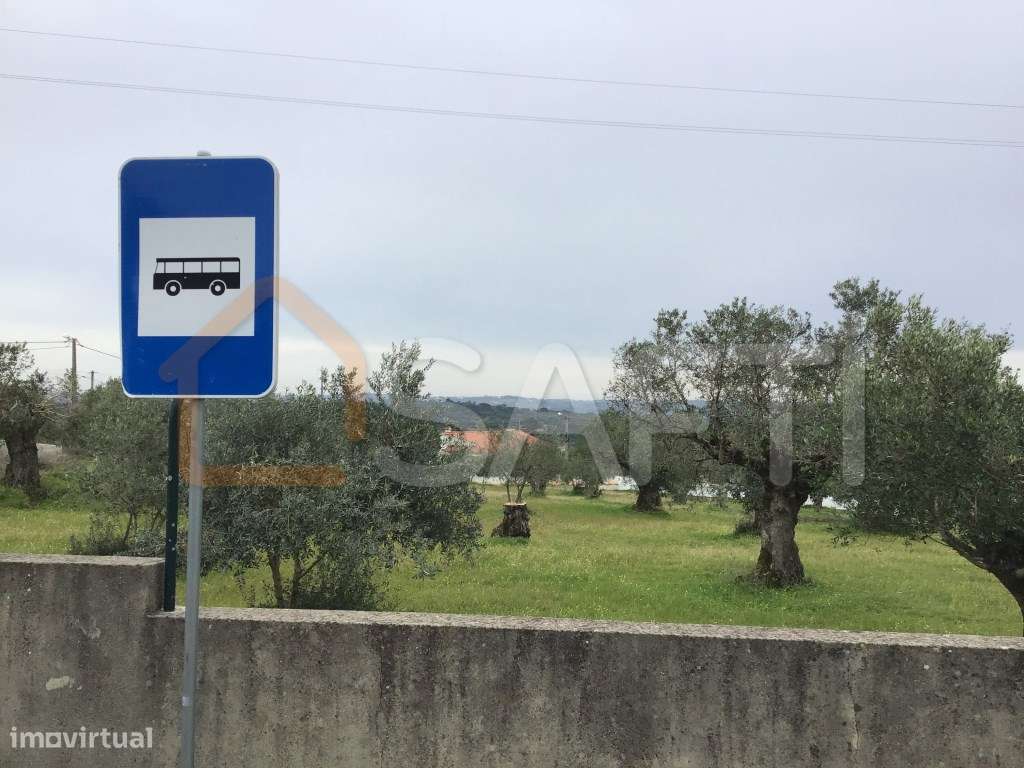 Venda - Terreno para construção. 685 m2 Pedrogão - Torres Novas - Grande imagem: 5/6