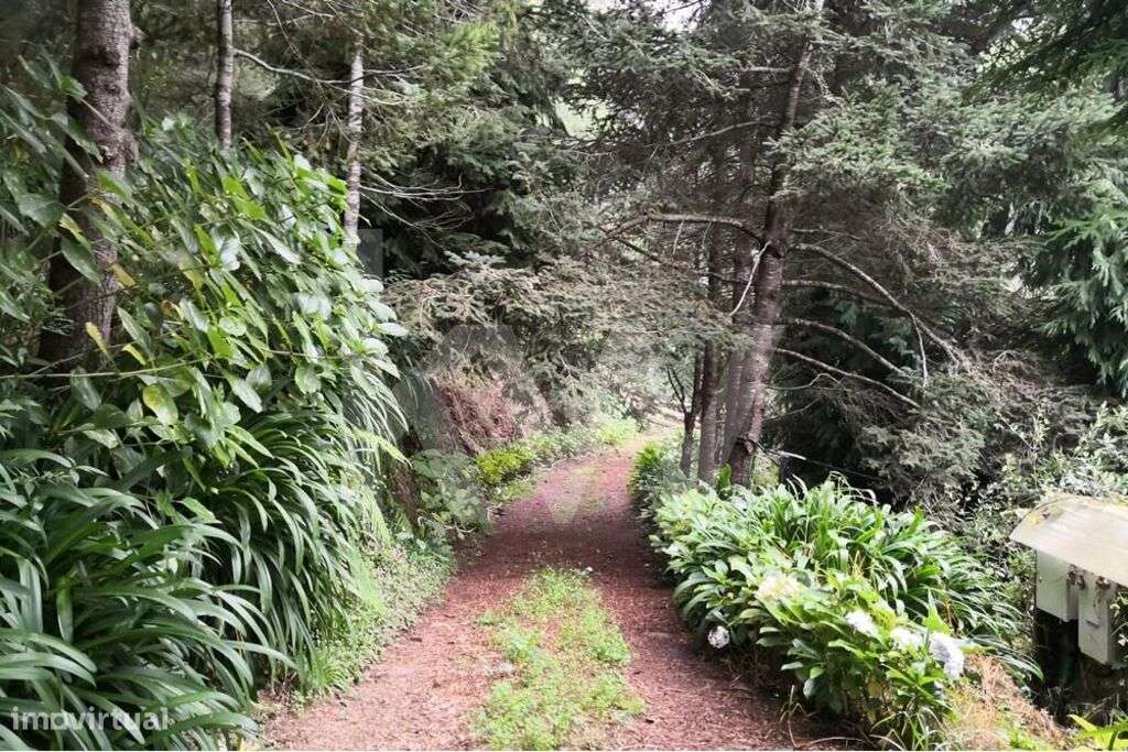 Quinta da Choupana | Vista magnífica sobre a cidade do Funchal | Ilha - Grande imagem: 4/14