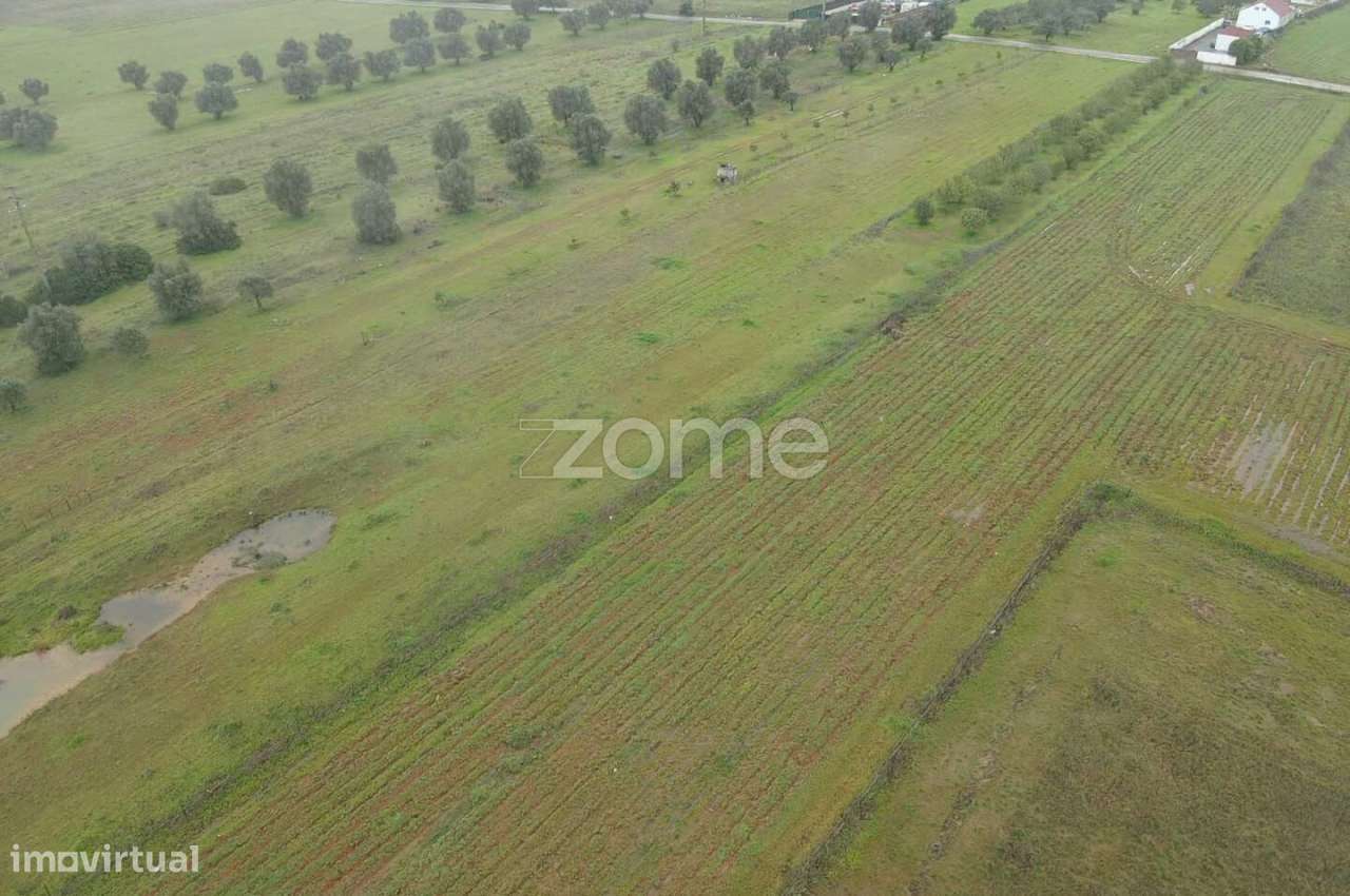 Terreno Rústico c/ 2.440m2 em Lenciscais, Paderne, Albufeira - Grande imagem: 4/16