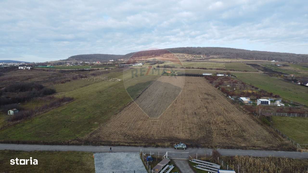 Teren 19.375 mp Dâmbu Rotund. Potențial rezidențial. Extravilan-9