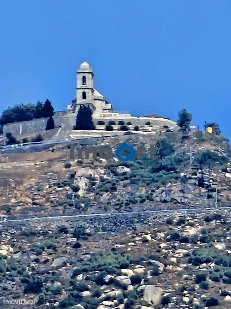 Terreno com nascente de Água!-19