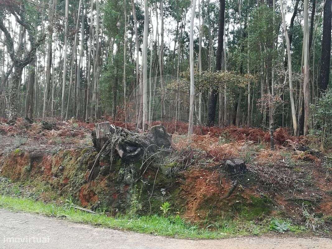 Terreno  para venda - Grande imagem: 2/3