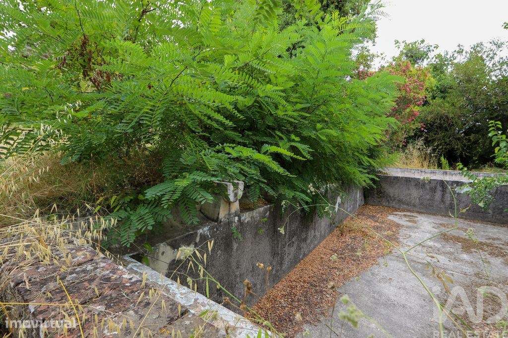 Casa / Villa T7 em Setúbal (São Julião, Nossa Senhora da Anunciada e S - Grande imagem: 4/17