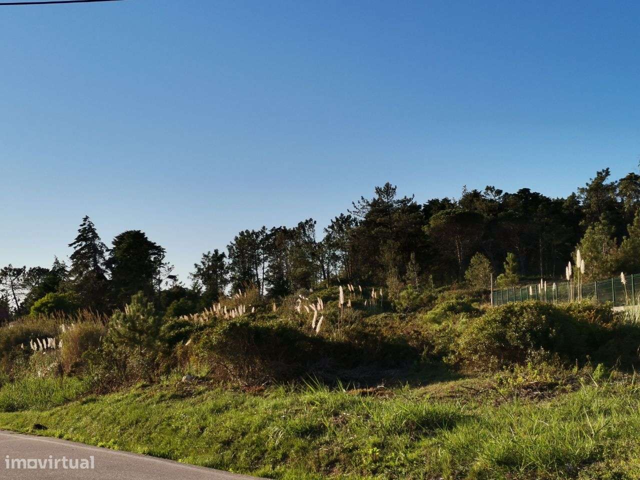 Terreno destinado a Indústria / Armazém - Alto de Brenha - Grande imagem: 5/18