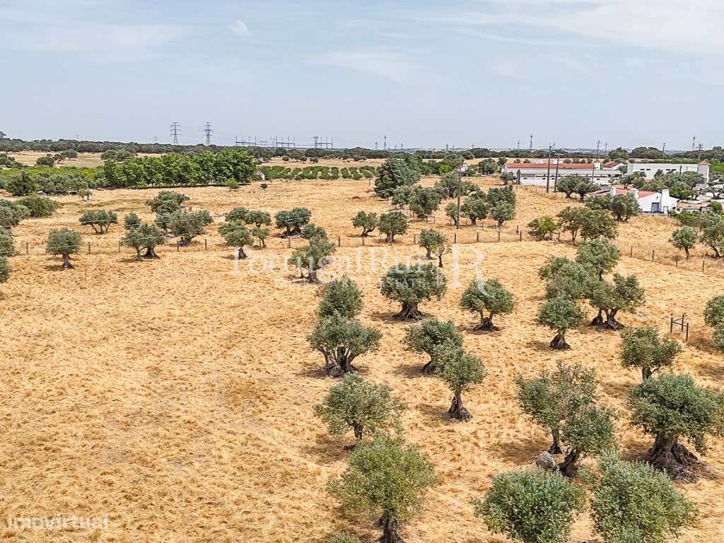 Encantadora quintinha alentejana-20