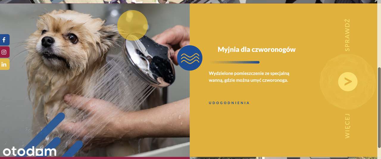 Sprzedam kawalerkę vis a vis Politechniki Łódzkiej - Pełny obrazek: 3/5