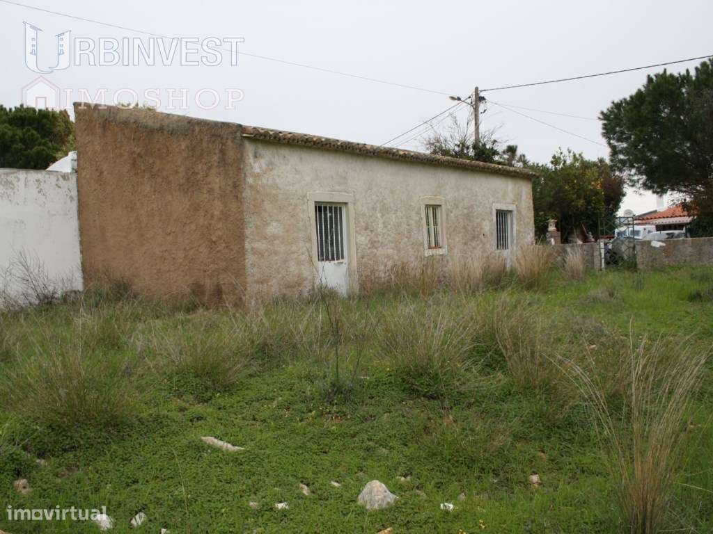Terreno com Ruina em Falfosa, Santa Barbara de Nexe - Grande imagem: 2/5