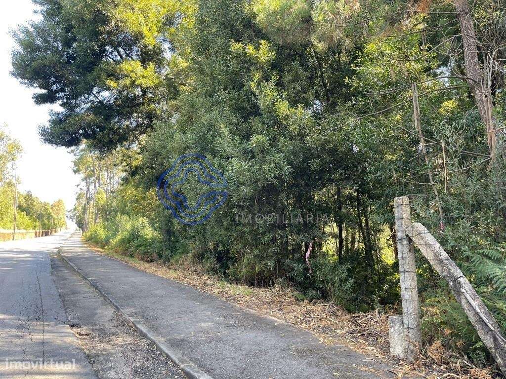 Terreno Pinhal para Venda - Grande imagem: 3/11
