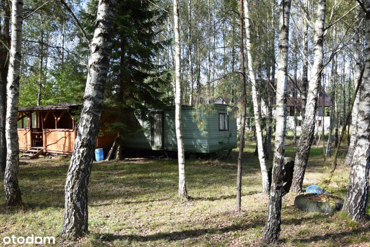 Dwa domy z potencjałem i dużą działką na Kaszubach-14