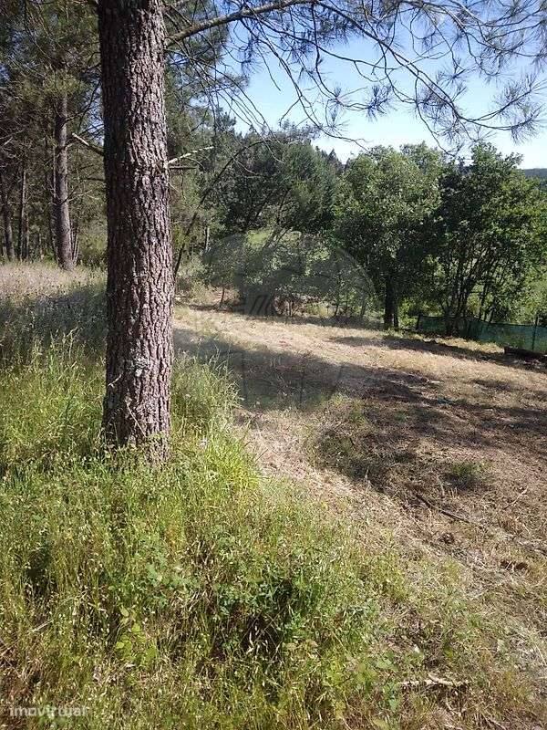 Terreno  para venda - Grande imagem: 5/6