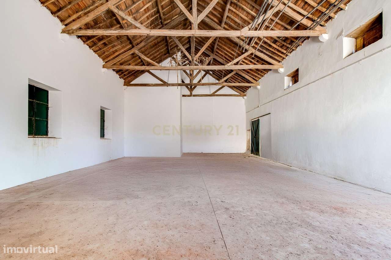 Armazém na Golegã - Pombalinho - Grande imagem: 5/23