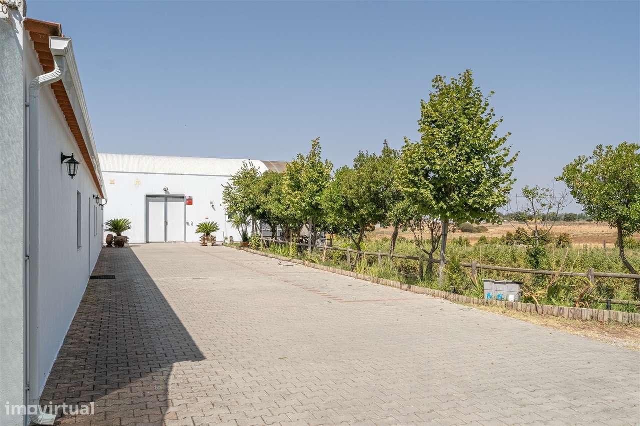 Quinta Biológica - Monte de Palma em Sao Manços com negócio.-32