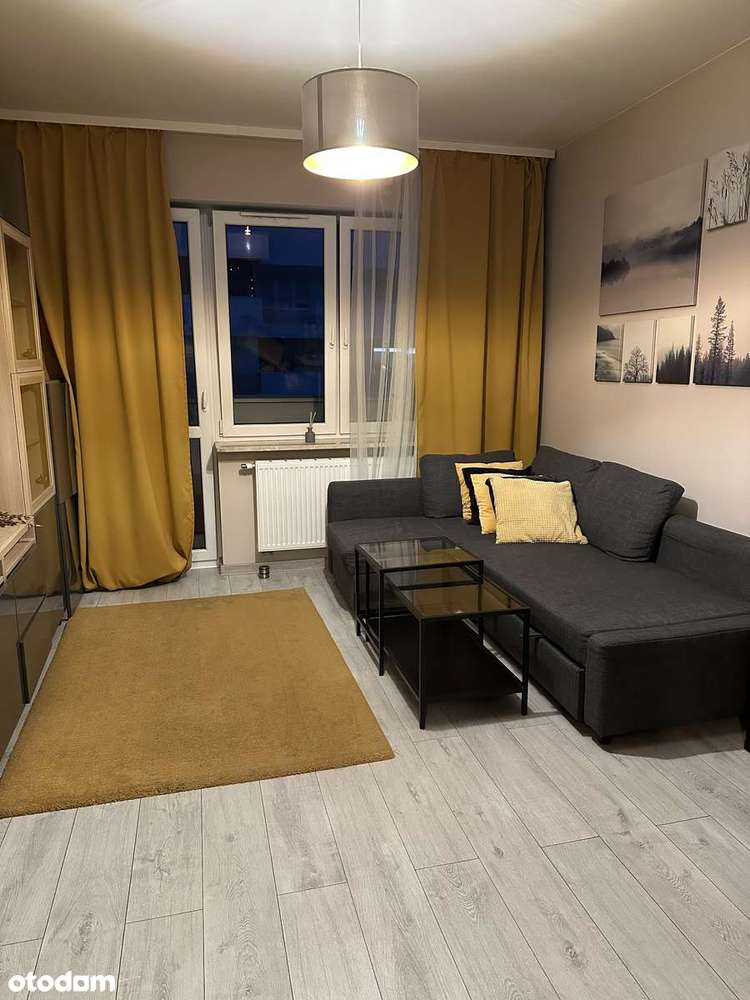 Wynajmę komfortowe, 2-pokojowe mieszkanie o powierzchni 43 m² - Pełny obrazek: 5/10