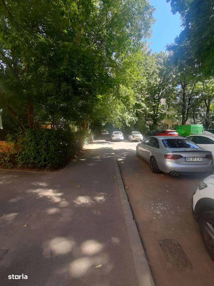 Drumul Taberei Favorit-18