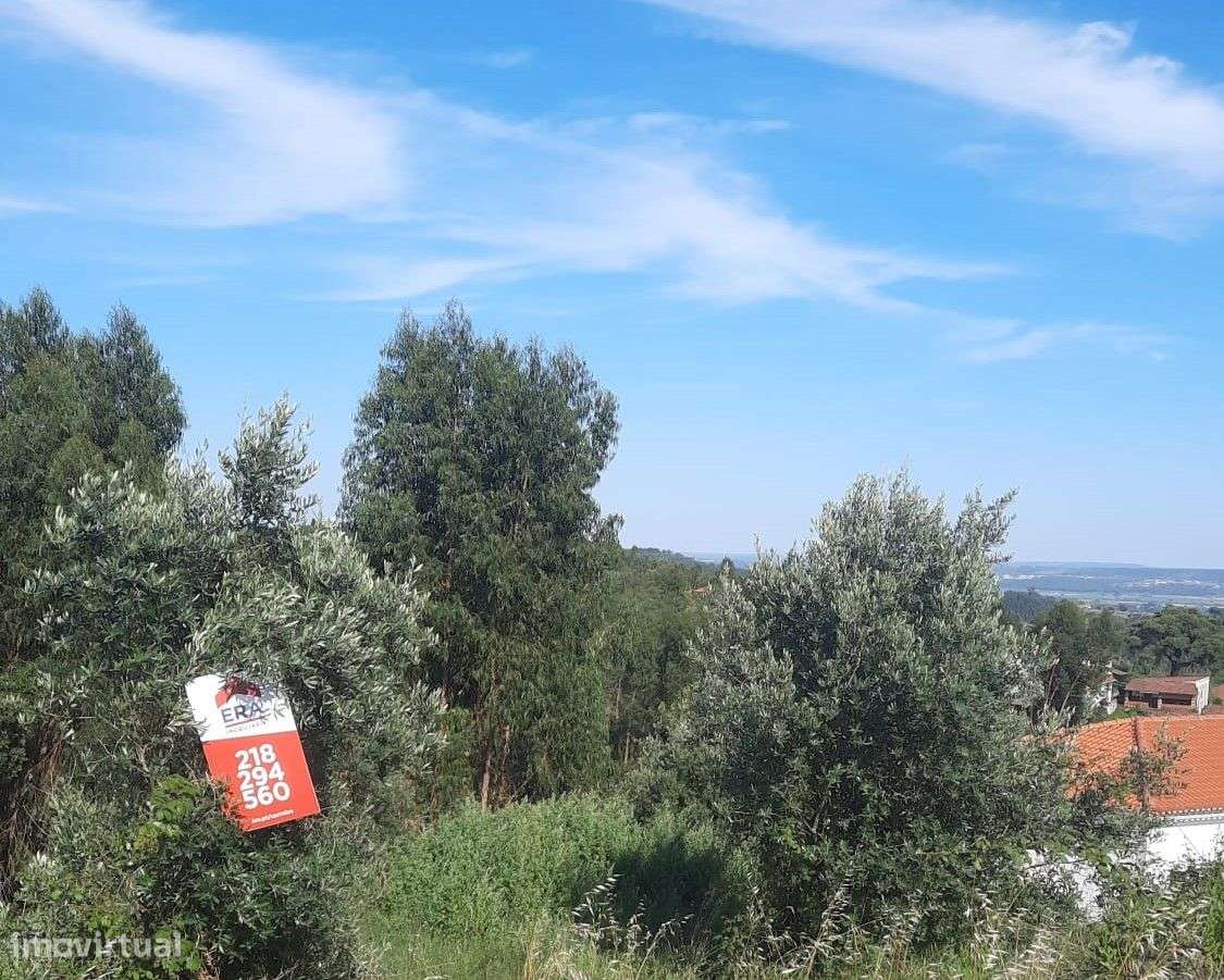 Terreno urbano 680mt2- Vila Nova da Barquinha - Grande imagem: 5/6