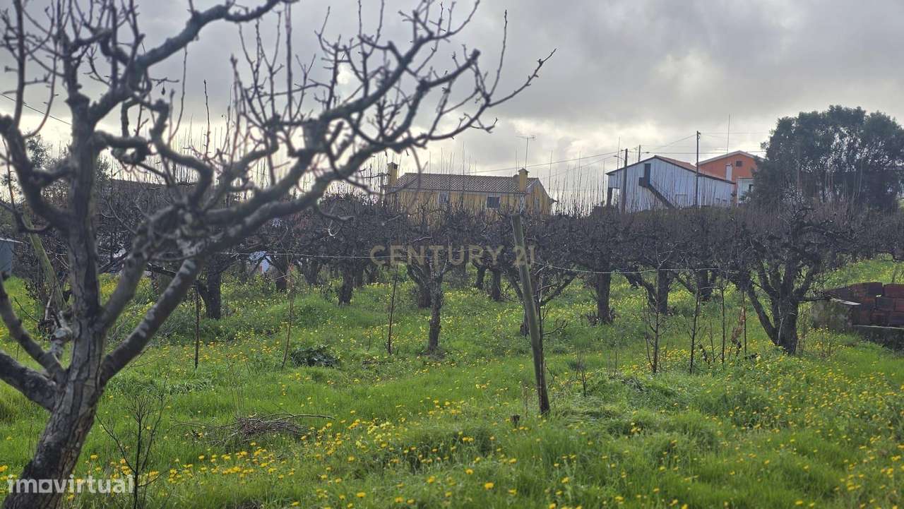 Terreno nas Fontainhas-Turcifal - Grande imagem: 4/4