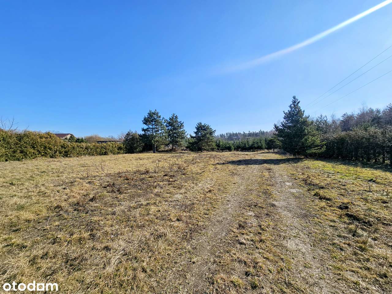 Działka budowlana 8600 m2. MPZP / Mikroklimat / Osuchów / Mszczonów - Pełny obrazek: 5/7