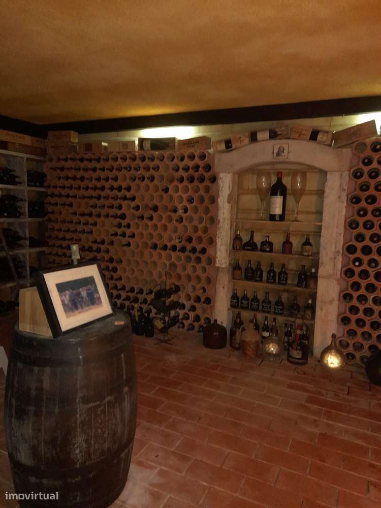 Azeitão/ Parque Natural Arrábida Quinta 7250 m2 com Moradia-8