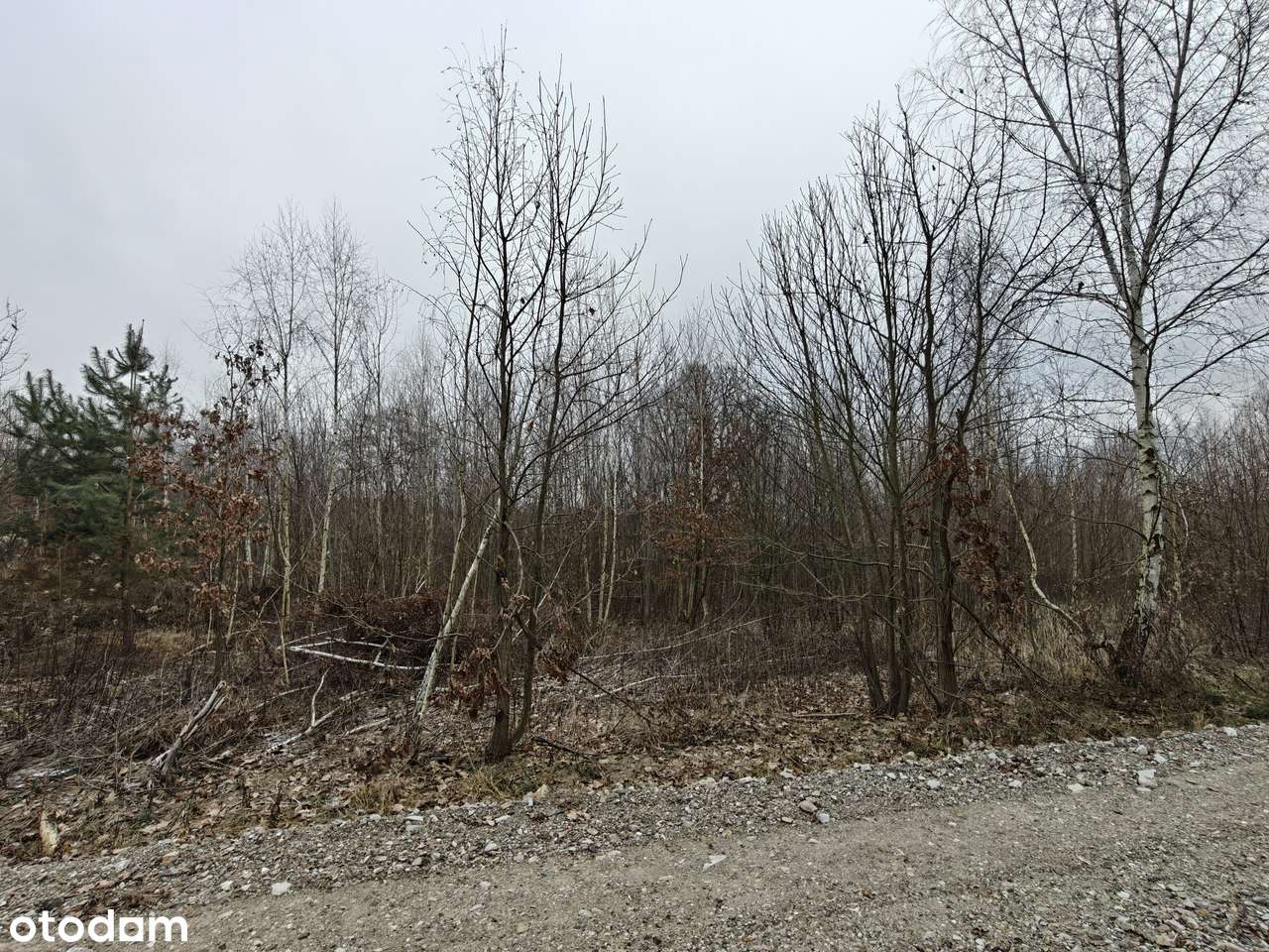 Sprzedam DZIAŁKĘ 0,128 ha (opcja sprzedaży razem 3 działek 0,46 ha) - Pełny obrazek: 3/9