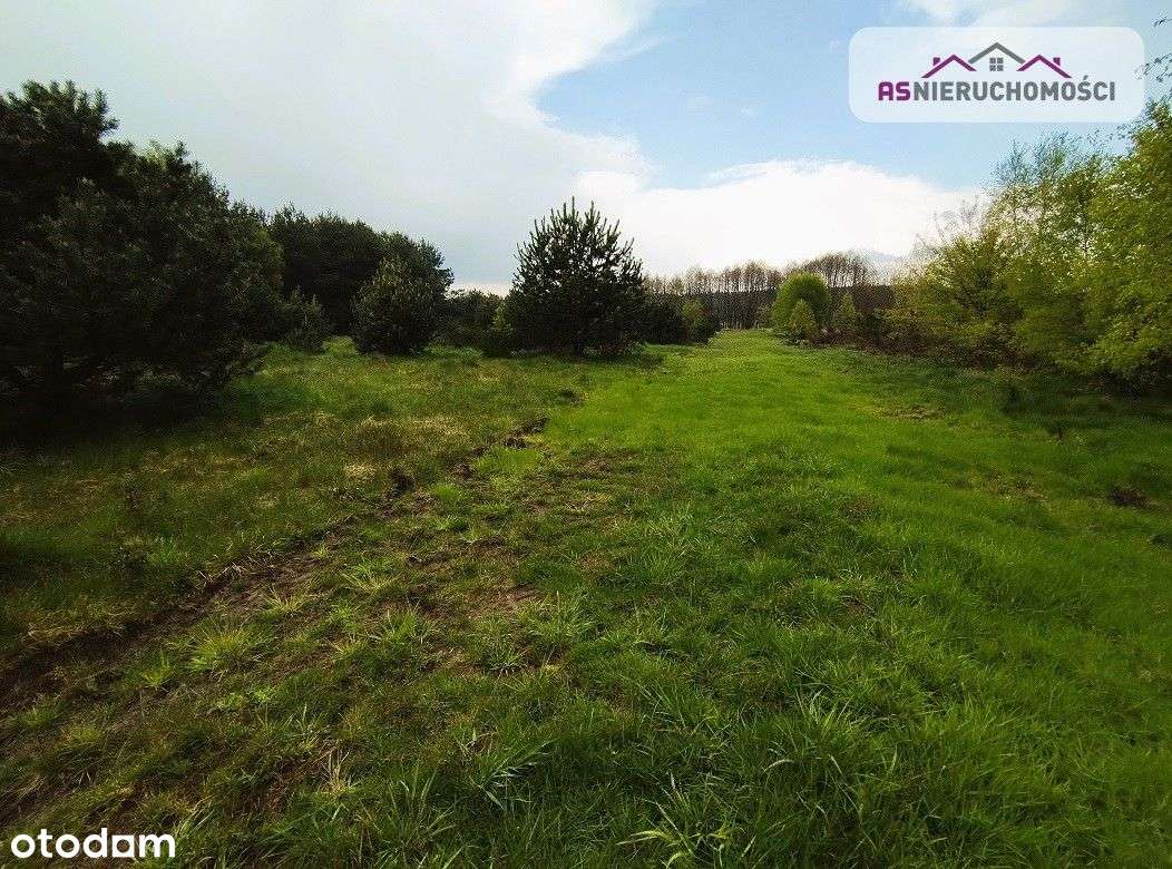 Idealne działki na oazę spokoju - Pełny obrazek: 4/18