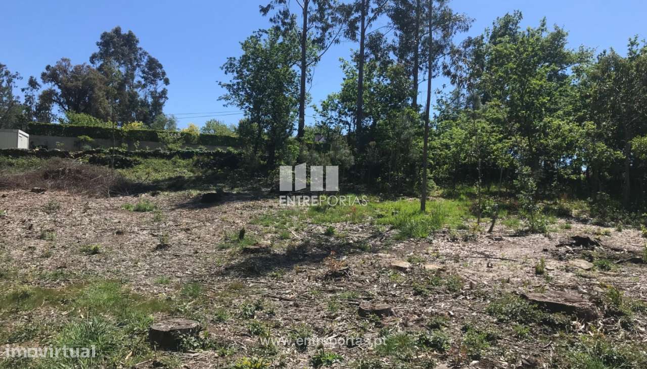 Terreno de construção para venda, Venade, Caminha - Grande imagem: 4/33