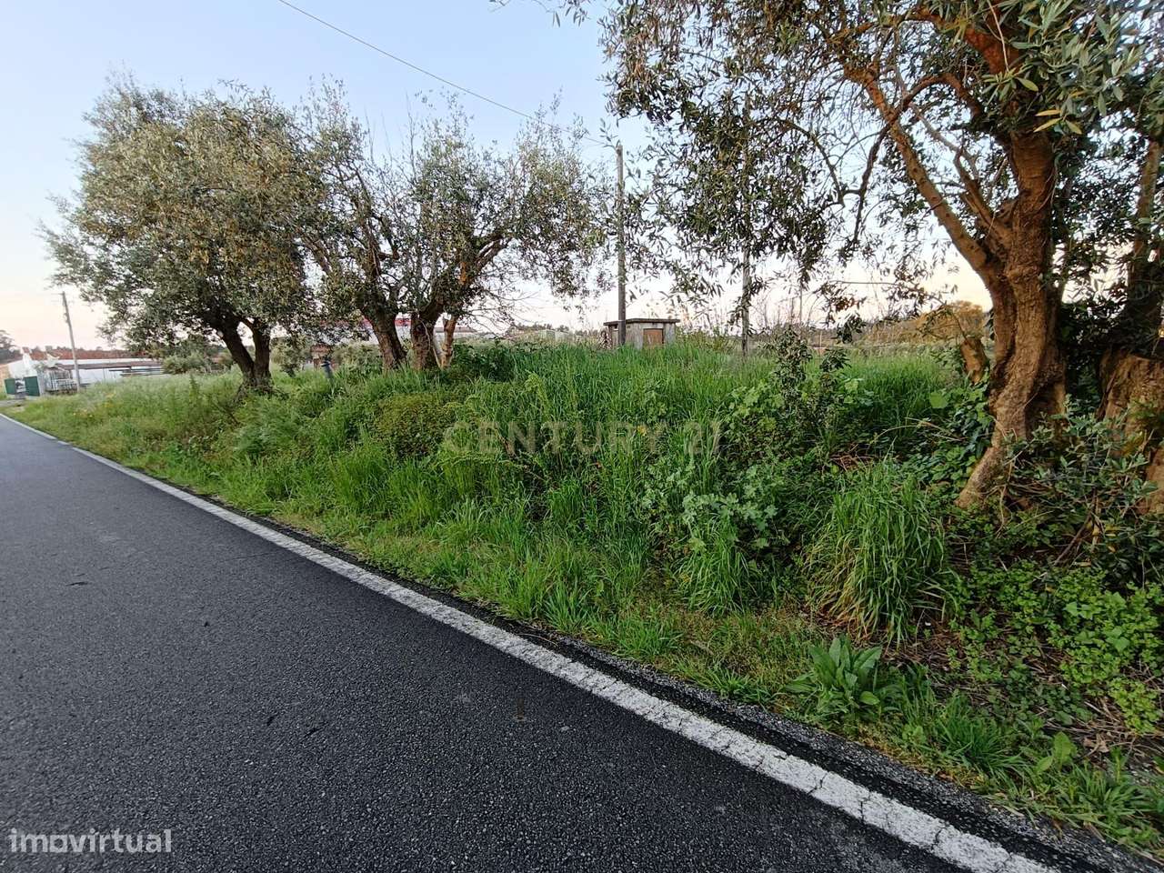 Terreno Urbanizável em Anadia - Grande imagem: 3/6