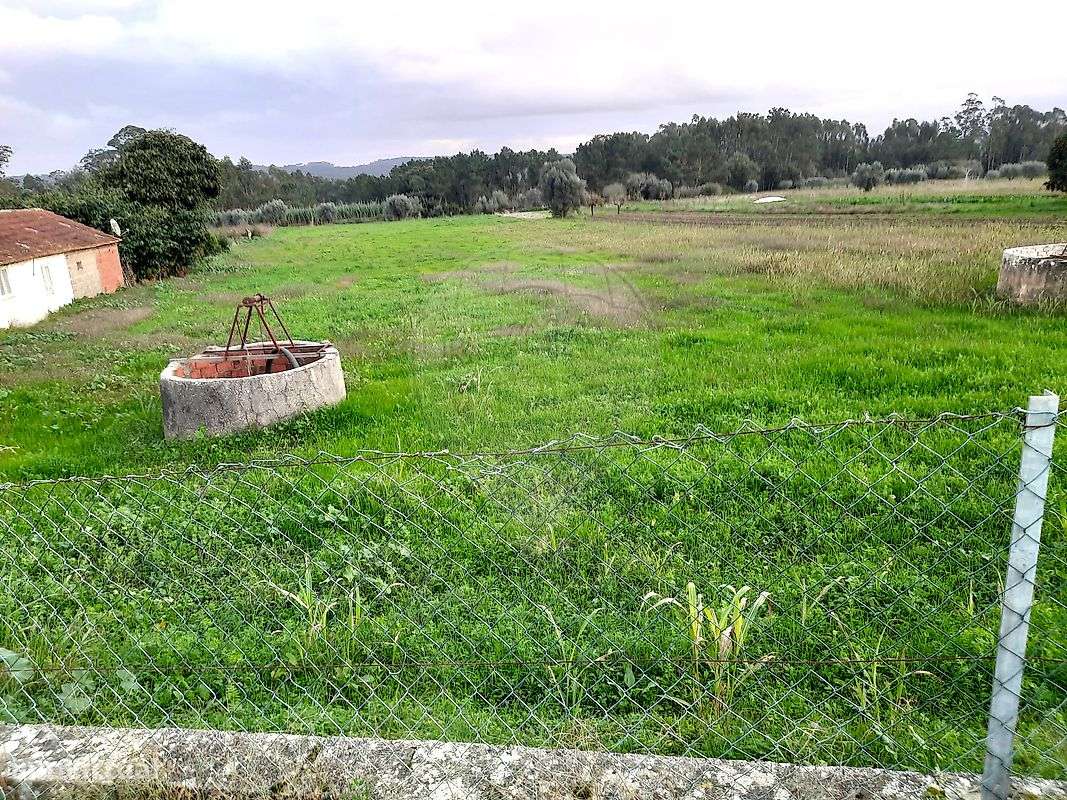 Terreno  para venda - Grande imagem: 3/4