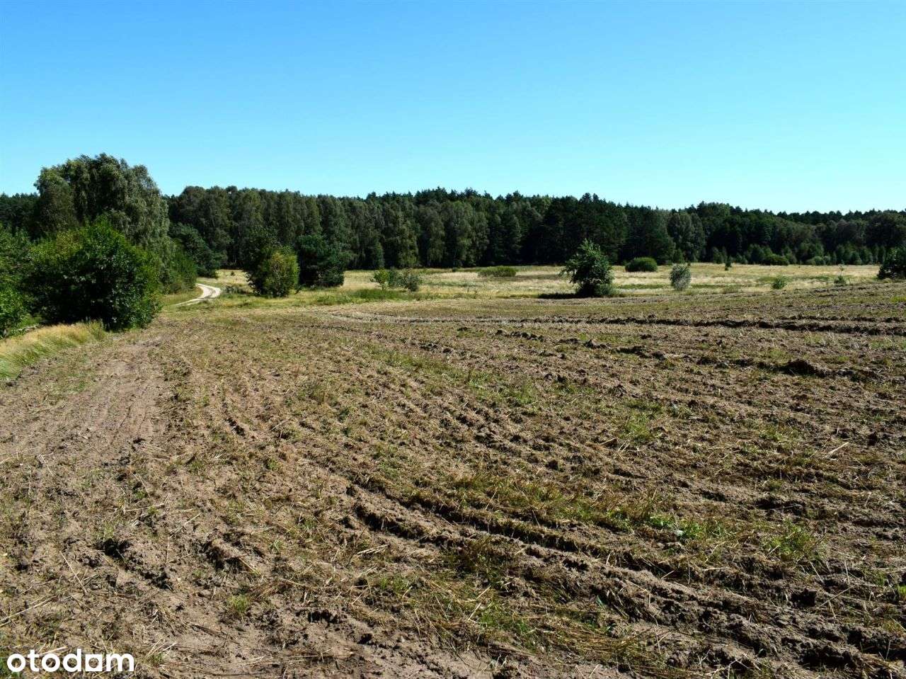 Działka rolna - Ostroróg-15