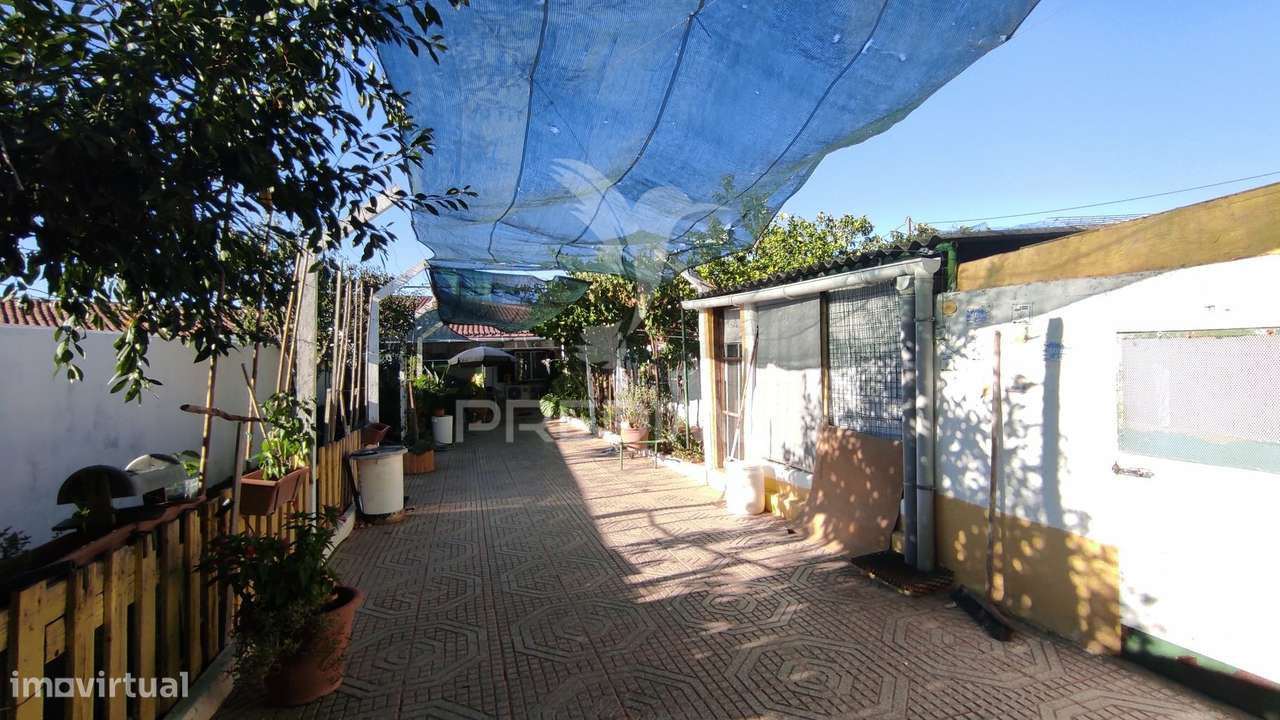 Moradia T3  em Trigaches . Beja - Grande imagem: 3/26