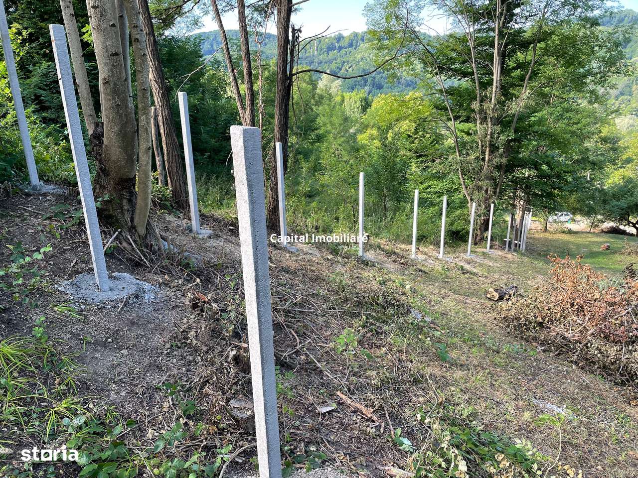 Vânzare teren Provita de Jos: 2301 mp, centru - Imagine principală: 4/7