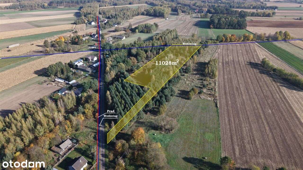 Duża zadrzewiona działka nieopodal Wkry. - Pełny obrazek: 4/17