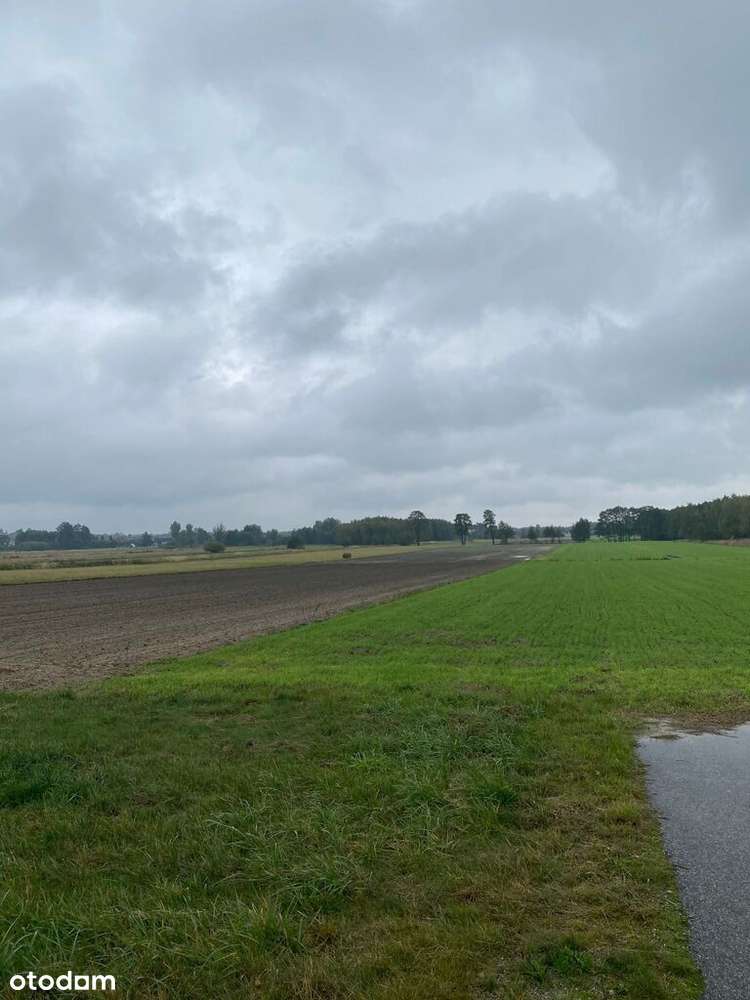 Kłocko Sieradz 1,2ha rola ziemia grunt rolny KRUS - Pełny obrazek: 1/3