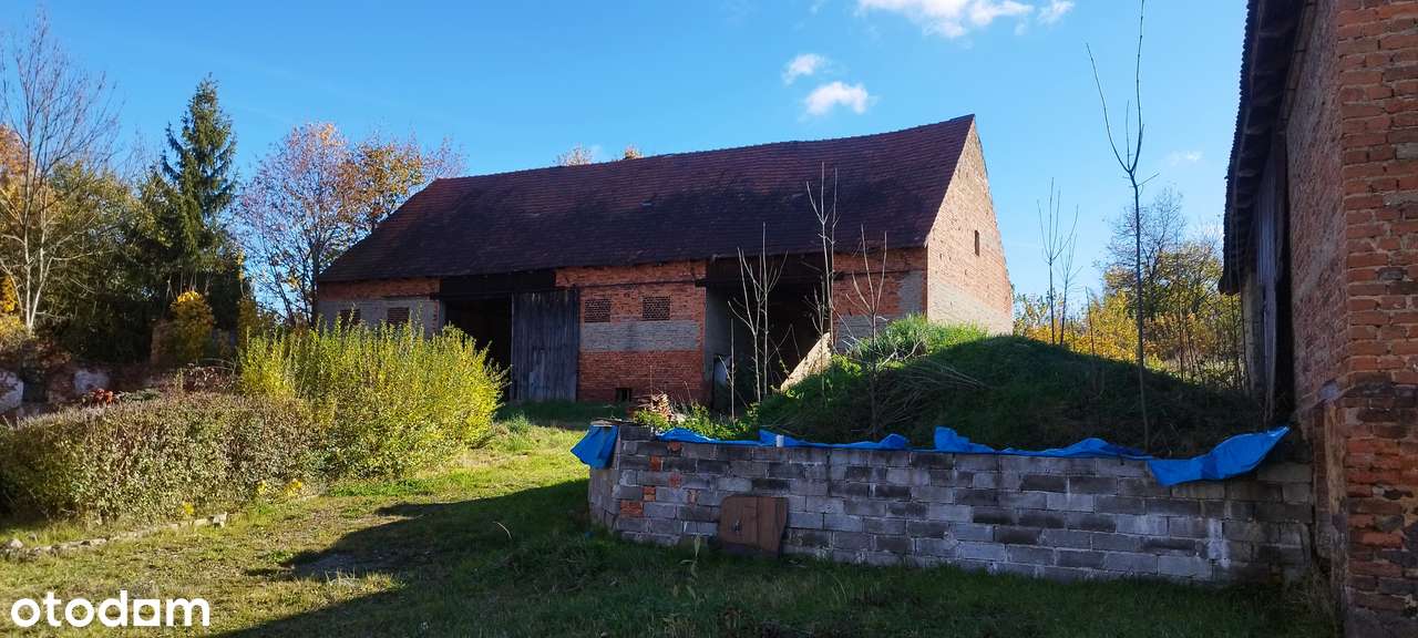 Przestronny z zadbanymi wnętrzami + zabudowania-18