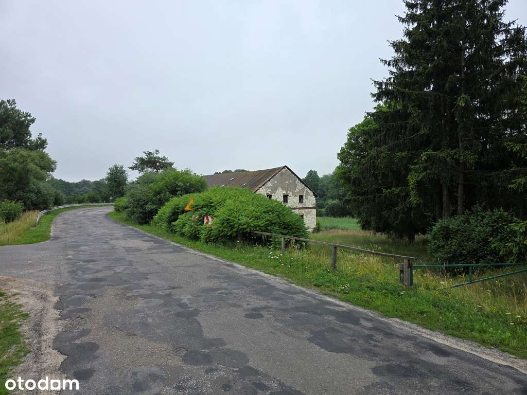 Zabytkowy Młyn, budynki gospodarcze, rzeka, las-4
