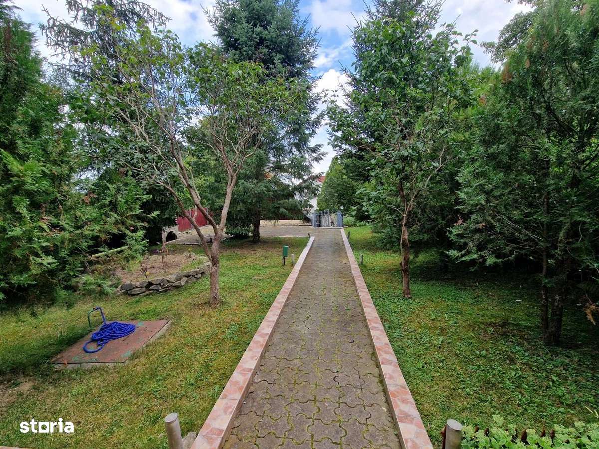 Casa localitatea Vale / Săliște 5 camere, garaj cu1030 mp teren-3