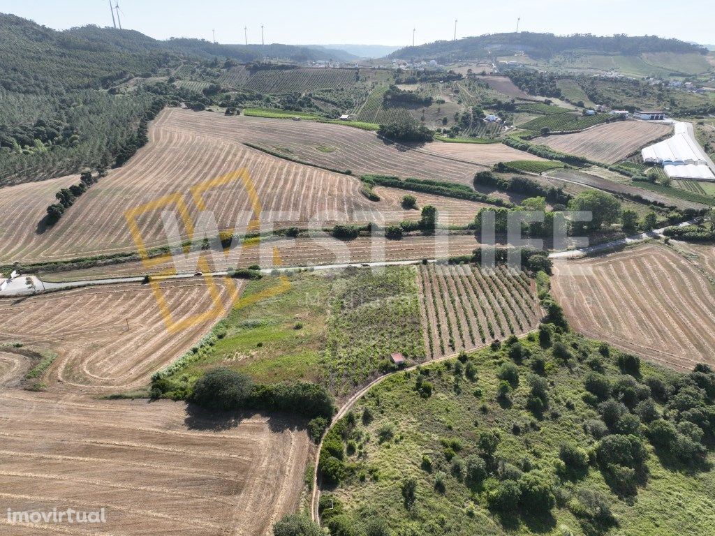 Terreno Rústico/Agrícola com 6000m2 - Excelente exposição...