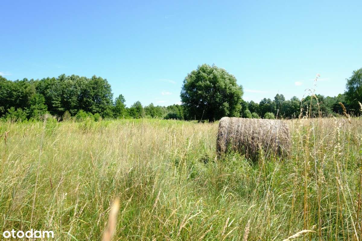 Dom Tuż przy Granicy Kampinosu (kpn)? Tak!-4