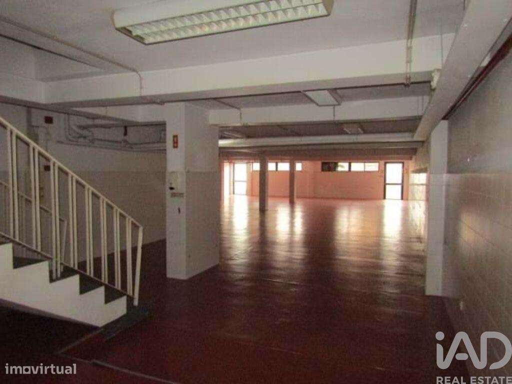 Loja / Estabelecimento Comercial em Cedofeita, Santo Ildefonso, Sé, Mi - Grande imagem: 5/14