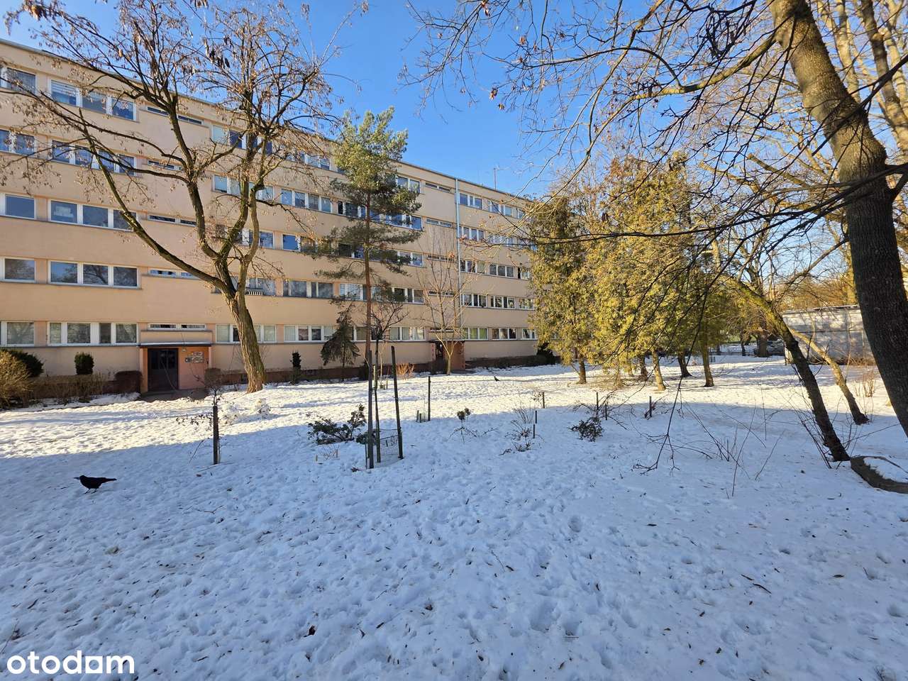 REZERWACJA !!! 37m2, 2 piętro, widzew ul. Niciarniana - blisko CKD-0