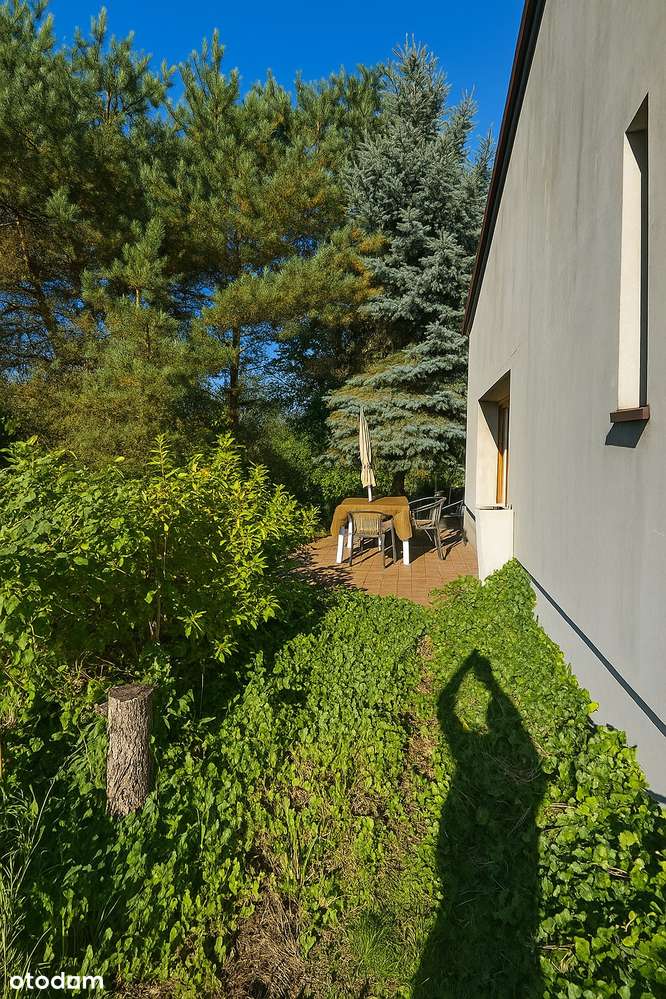 Dom z zabudową gospodarczą + poddasze | działka 3811 m² | 13 km od CPK - Pełny obrazek: 5/17