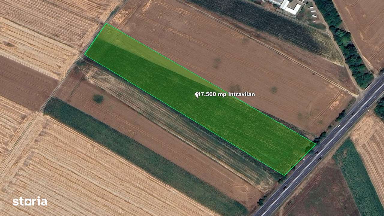 Teren Intravilan, 17500 mp, Sag, Timis, DN69-0
