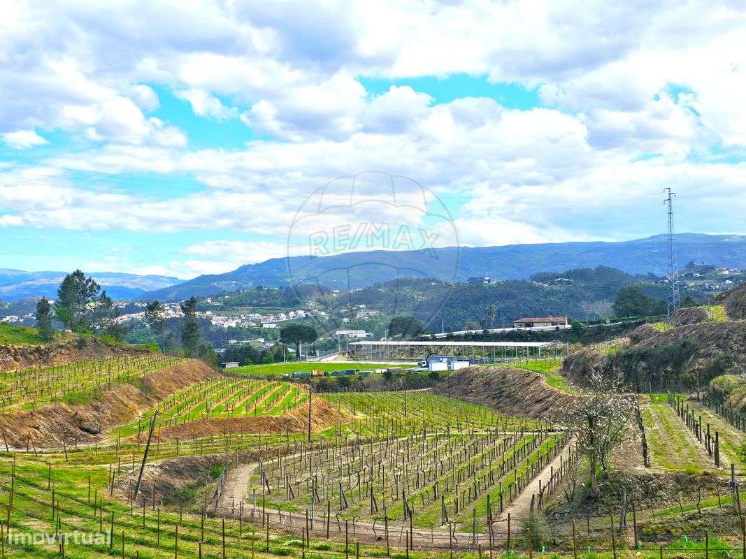 Herdade  para venda - Grande imagem: 3/13