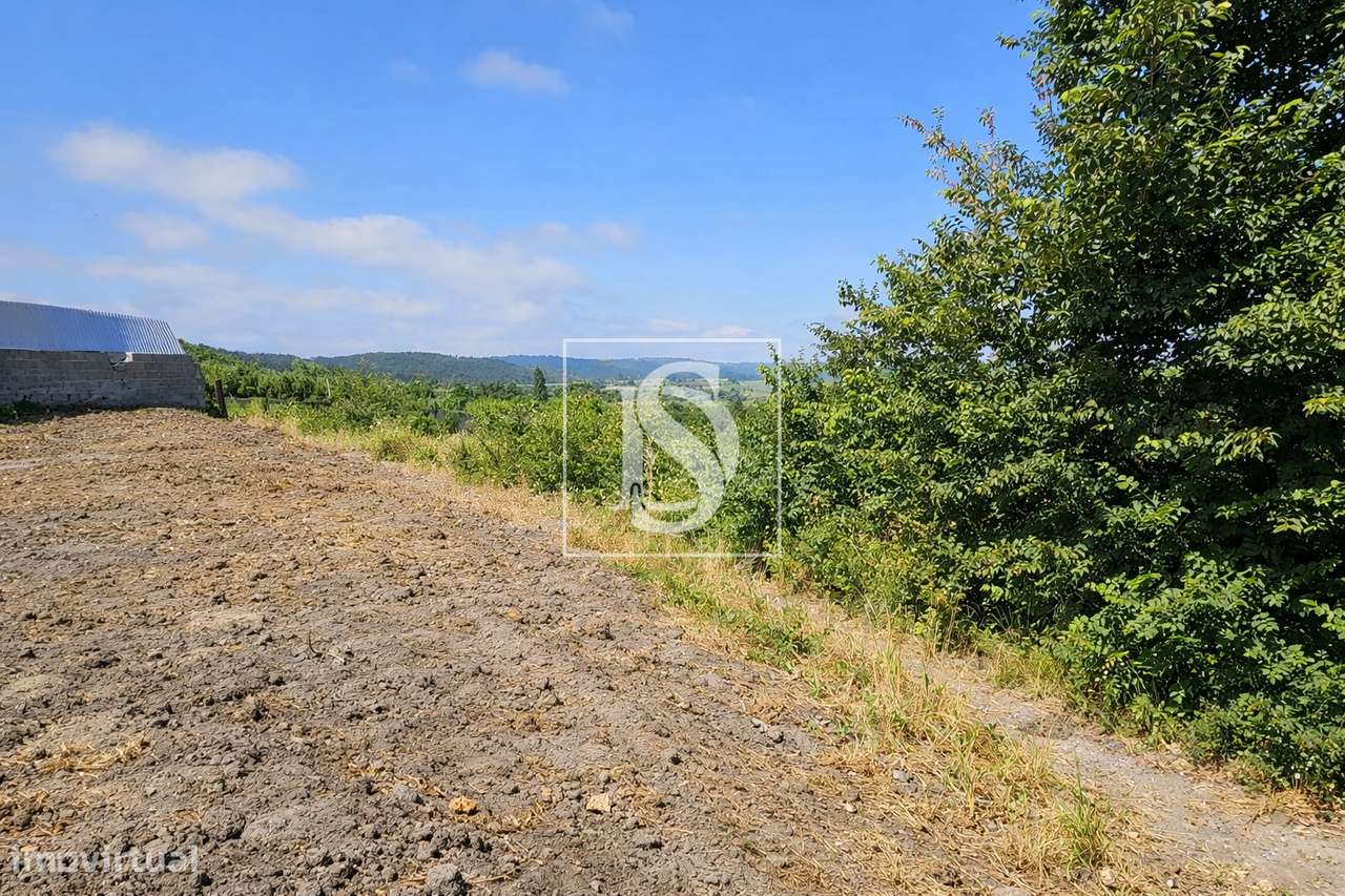 Terreno Para Construção  Venda em Alqueidão,Figueira da Foz-14