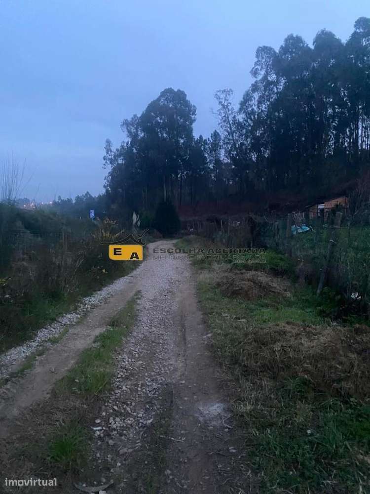 3 Lotes de terreno rústico Ferreirinha - Gondomar - Grande imagem: 5/20